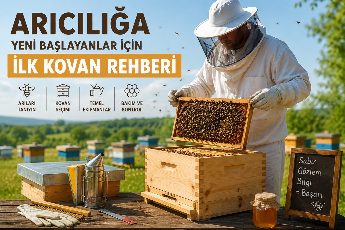 Arılı kovan — 60 adet, Kafkas ırkı, güçlü koloni