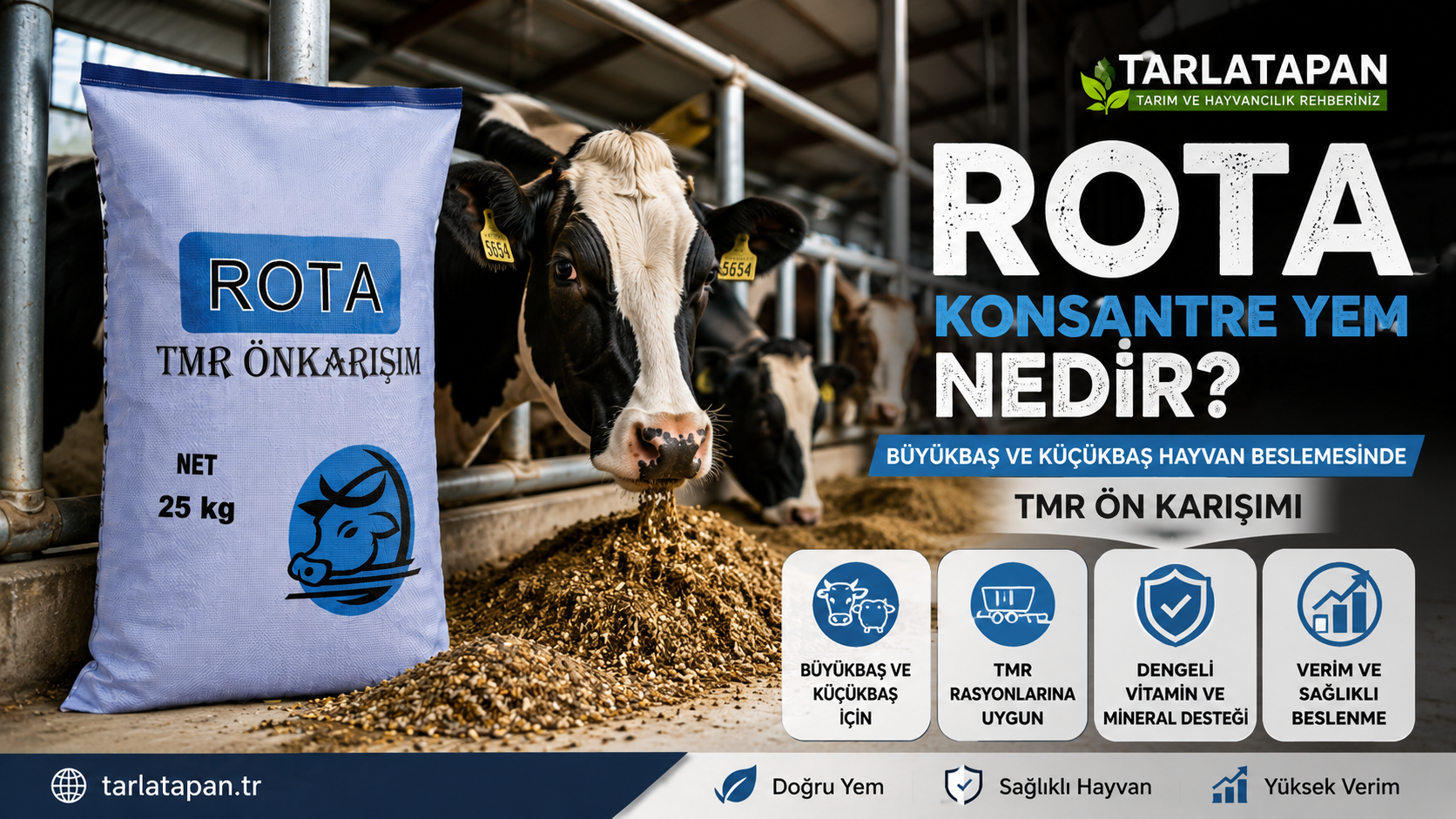 Rota Konsantre Yem Nedir