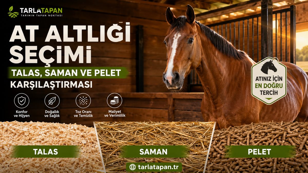 At Altlığı Seçimi: Talaş, Saman ve Pelet Karşılaştırması