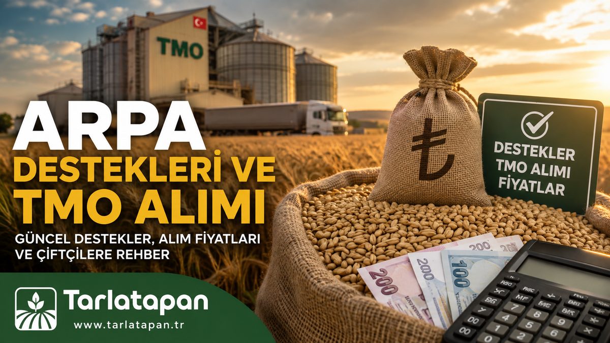 Arpa Destekleri ve TMO Alımı