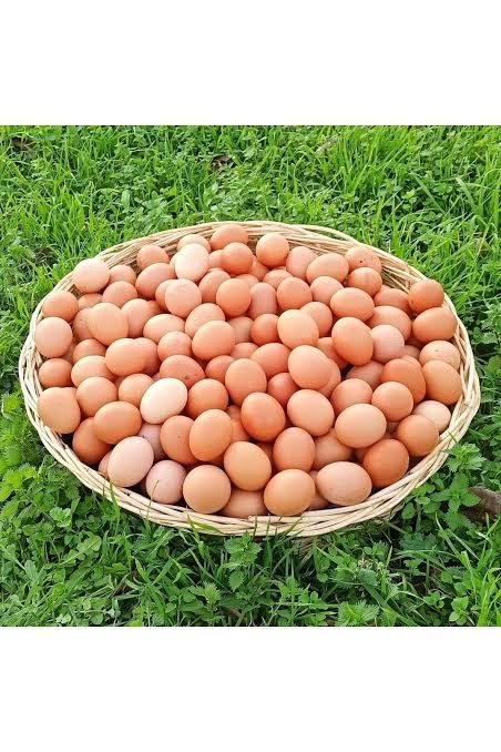 Köy yumurtası — günlük 400 adet, düzenli teslimat