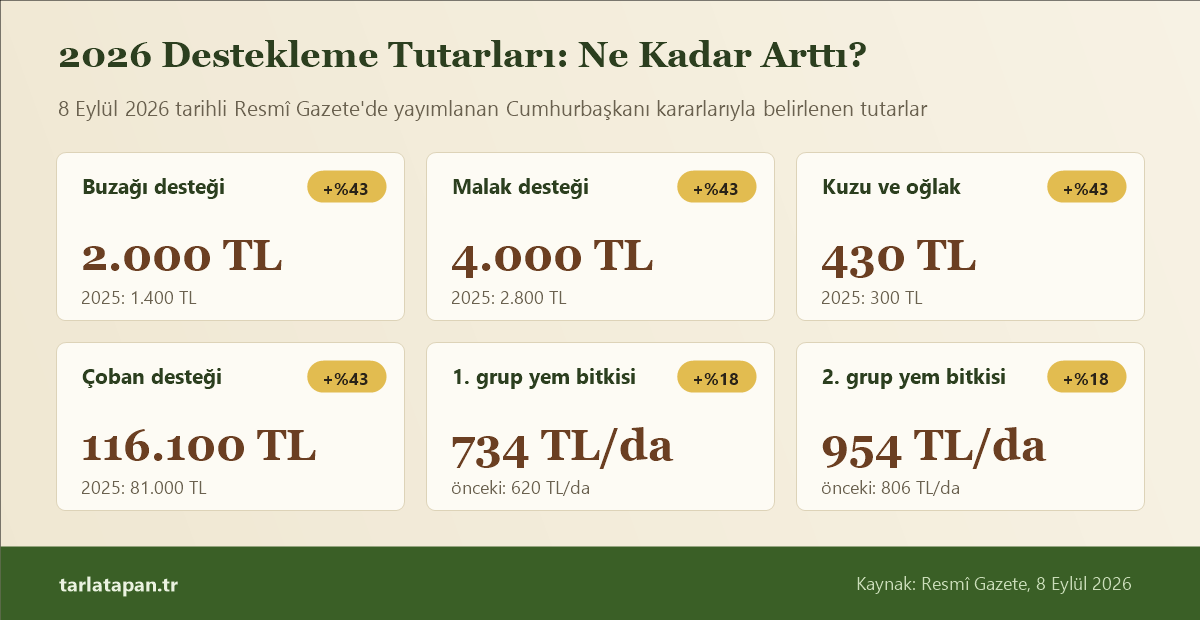 2026 destekleme tutarları: buzağı 2.000 TL, malak 4.000 TL, kuzu ve oğlak 430 TL, çoban desteği 116.100 TL, birinci grup yem bitkisi 734 TL/dekar, ikinci grup yem bitkisi 954 TL/dekar