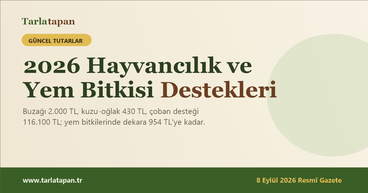 2026 Hayvancılık ve Yem Bitkisi Destekleri: Tutarlar ve Şartlar