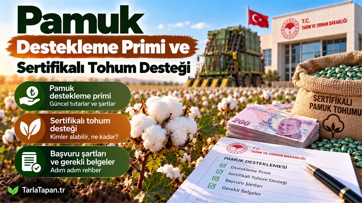 Pamuk Destekleme Primi ve Sertifikalı Tohum Desteği