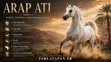 Arap Atı
