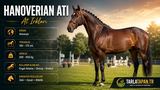 Hanoverian Atı