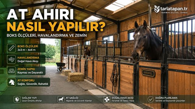 At Ahırı Nasıl Yapılır? Boks Ölçüleri, Havalandırma ve Zemin