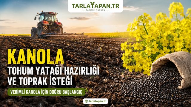 Kanola Tohum Yatağı Hazırlığı ve Toprak İsteği