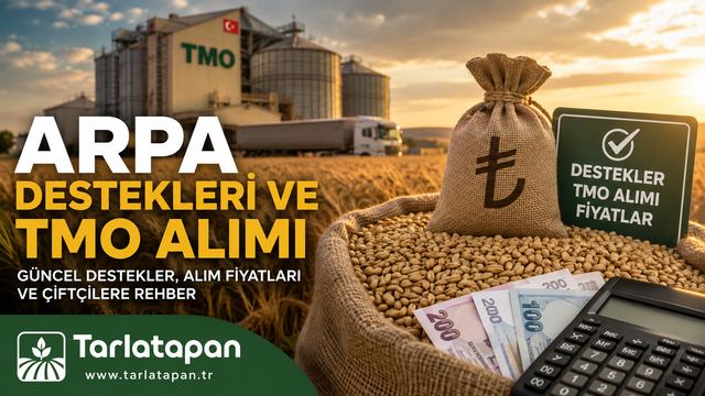 Arpa Destekleri ve TMO Alımı