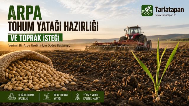 Arpa Tohum Yatağı Hazırlığı ve Toprak İsteği