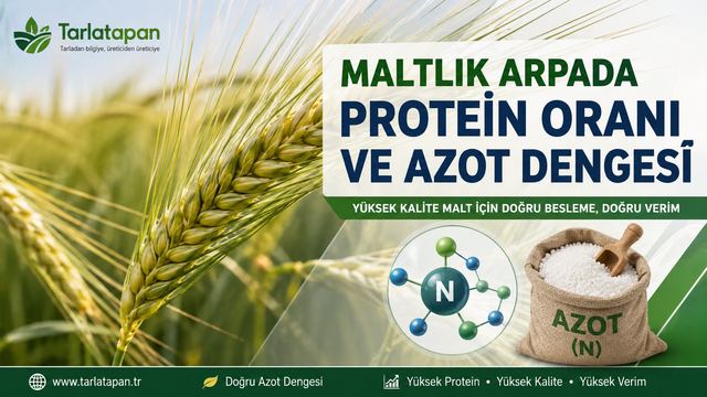Arpa Gübreleme Rehberi: Azot, Fosfor ve Potasyum