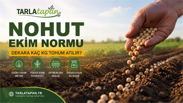 Nohut Ekim Normu: Dekara Kaç Kg Tohum Atılır?