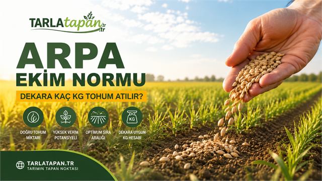 Arpa Ekim Normu: Dekara Kaç Kg Tohum Atılır?