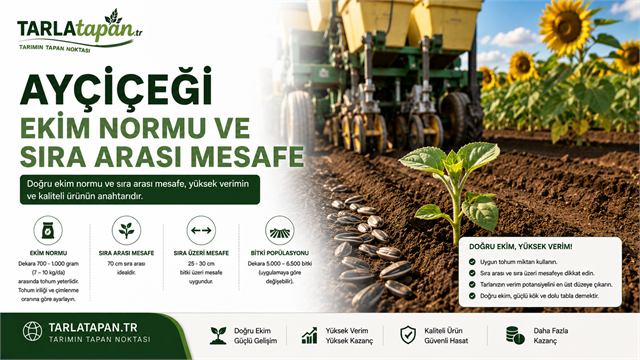 Ayçiçeği Ekim Normu ve Sıra Arası Mesafe