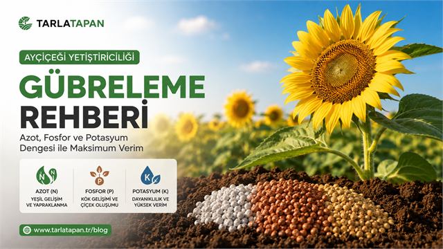 Ayçiçeği Gübreleme Rehberi: Azot, Fosfor ve Potasyum<