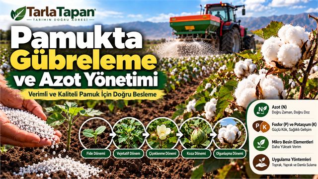 Pamukta Gübreleme ve Azot Yönetimi